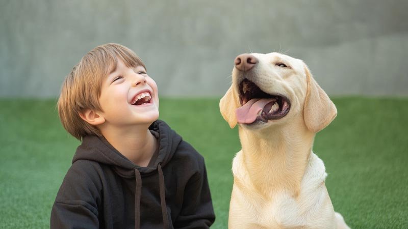 Benefits of Artificial Grass for Families and Pet Owners