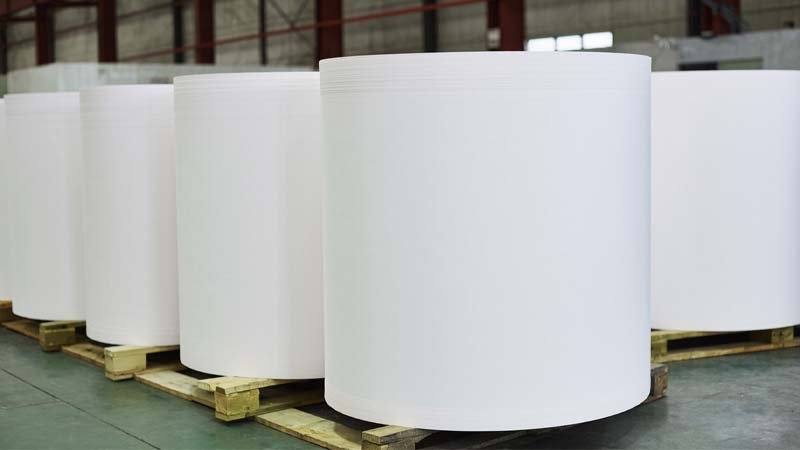 polyethylene foam